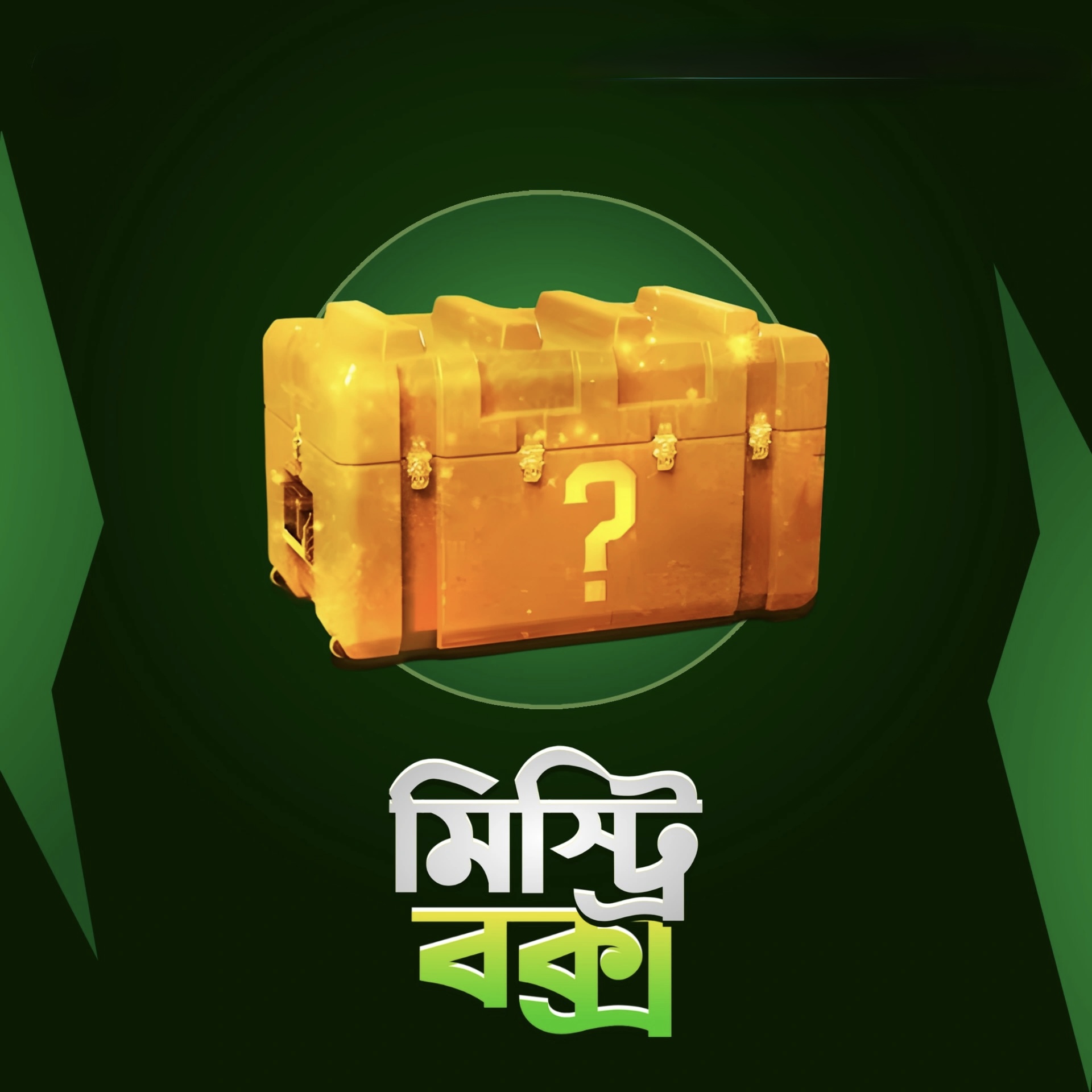 MYSTERY BOX